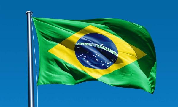 البرازيل تسجل 729وفاة و31911 إصابة جديدة بفيروس كورونا